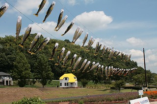 鮎のぼり